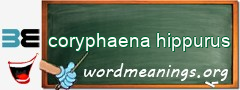 WordMeaning blackboard for coryphaena hippurus